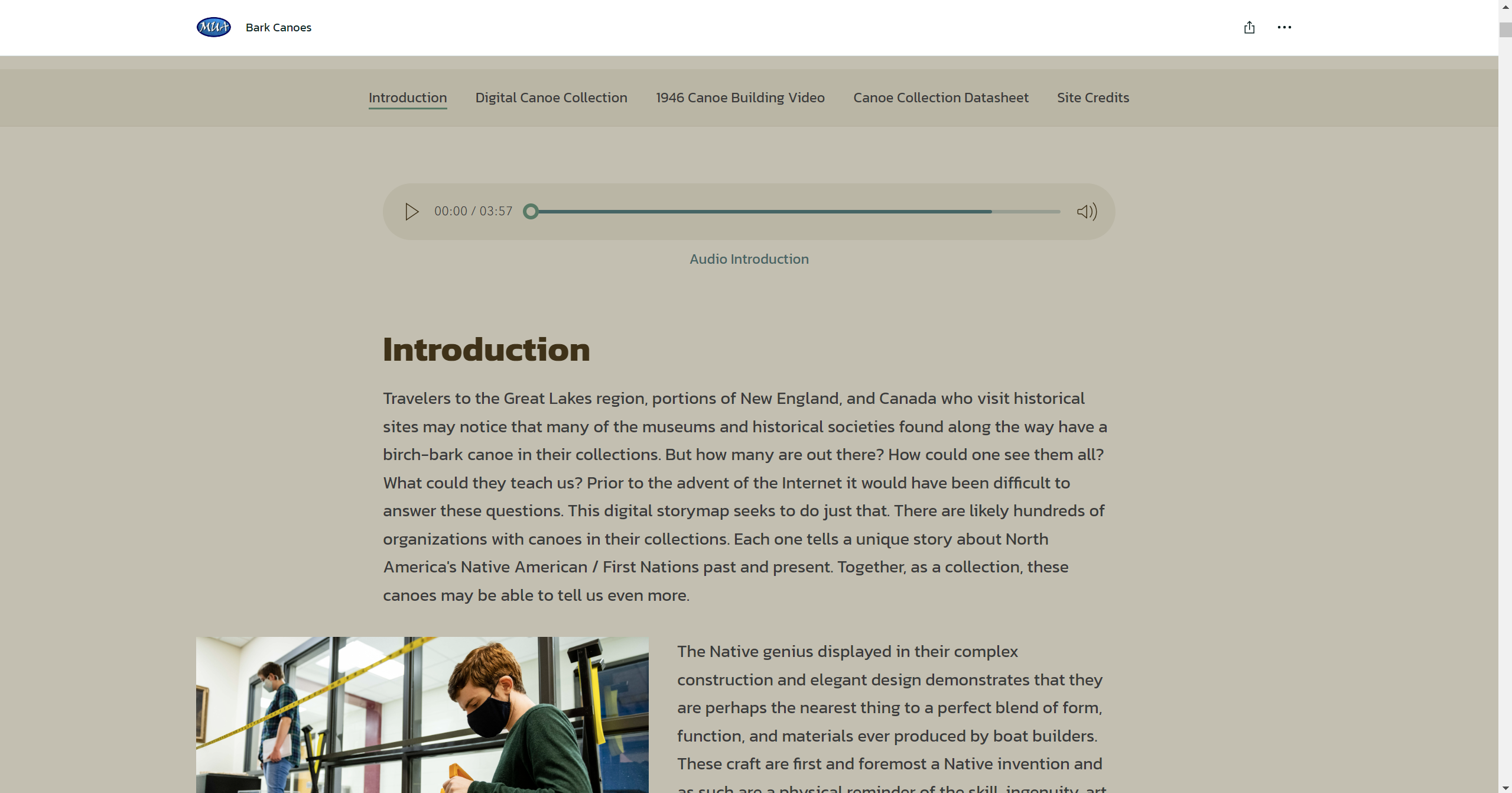 The introduction page of the website